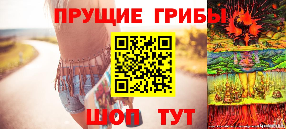 Галлюциногенные грибы Psilocybine cubensis  Вход с VPN  Истра 