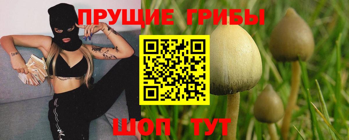 Галлюциногенные грибы MAGIC MUSHROOMS Истра